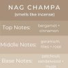 Nag Champa Scented Linen and Room Spray | Home Fragrance | 4 oz Glass Black Bottle | Luxury Signature Scent Incense | Handmade in Texas - Image 2
